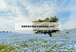 欧洲杯官方直播,欧洲杯直播表 2020