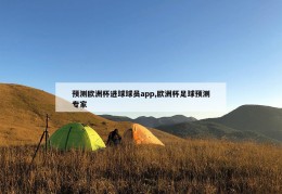 预测欧洲杯进球球员app,欧洲杯足球预测专家