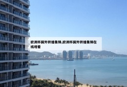 欧洲杯国外转播集锦,欧洲杯国外转播集锦在线观看