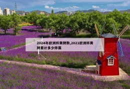 2024年欧洲杯黄牌数,2021欧洲杯黄牌累计多少停赛