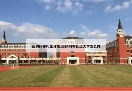 纽约阿布扎比分校,纽约阿布扎比大学怎么样