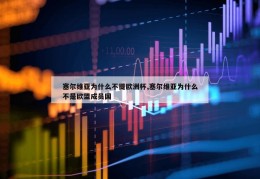 塞尔维亚为什么不提欧洲杯,塞尔维亚为什么不是欧盟成员国