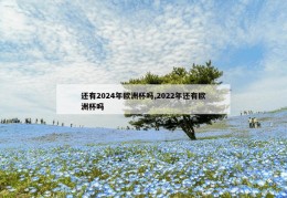 还有2024年欧洲杯吗,2022年还有欧洲杯吗