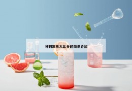 马刺灰熊大比分的简单介绍