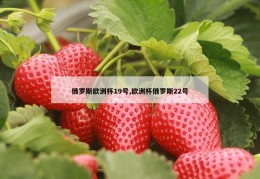 俄罗斯欧洲杯19号,欧洲杯俄罗斯22号