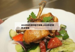 2024年欧洲杯赔付金额,2024年欧洲杯足球场