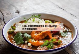 2024欧洲杯在哪看直播啊,2024欧洲杯在哪看直播啊