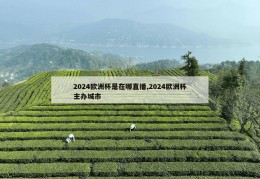 2024欧洲杯是在哪直播,2024欧洲杯主办城市